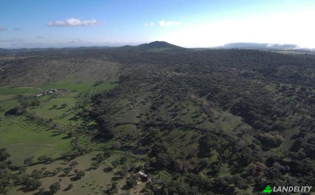 Farm/Ranch for Sale 7340, Azenha nova, Arronches, Portalegre District, Portugal. Photo 7