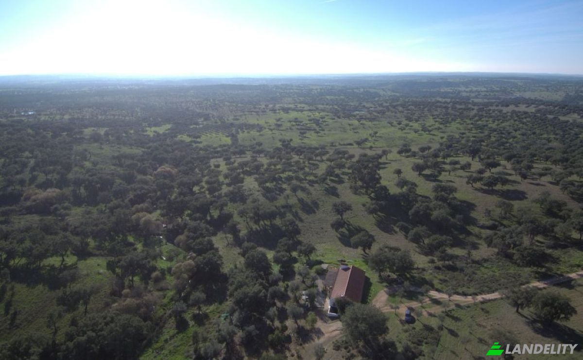 Farm/Ranch for Sale 7340, Azenha nova, Arronches, Portalegre District, Portugal. Photo 6