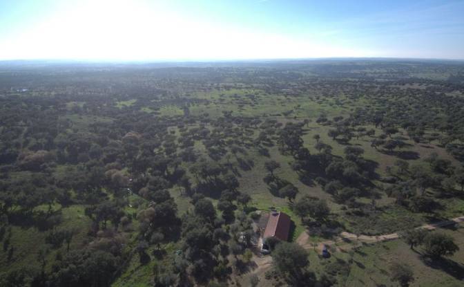 Farm/Ranch for Sale 7340, Azenha nova, Arronches. Photo#6 Farm/Ranch for Sale 7340, Azenha nova, Arronches. Photo#6