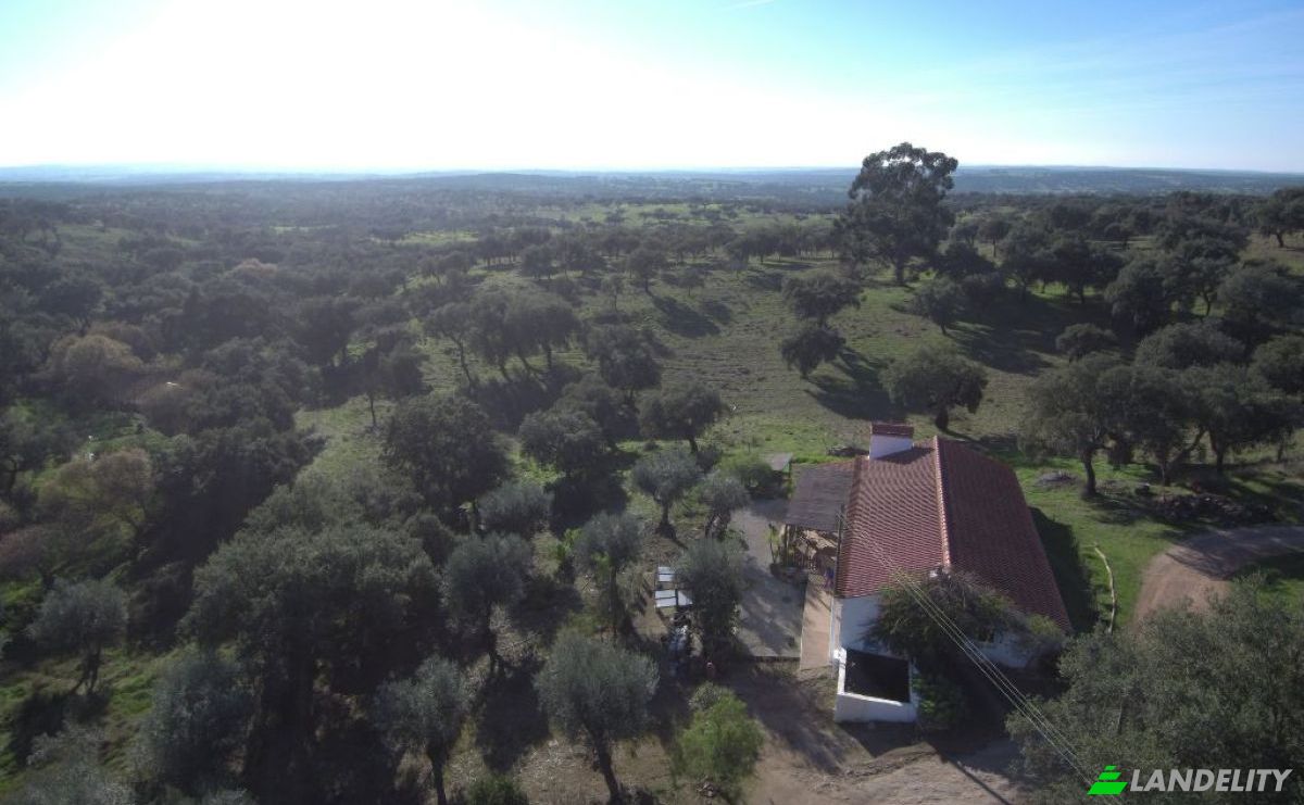 Farm/Ranch for Sale 7340, Azenha nova, Arronches, Portalegre District, Portugal. Photo 4