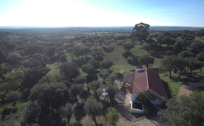 Farm/Ranch for Sale 7340, Azenha nova, Arronches. Photo#4 Farm/Ranch for Sale 7340, Azenha nova, Arronches. Photo#4
