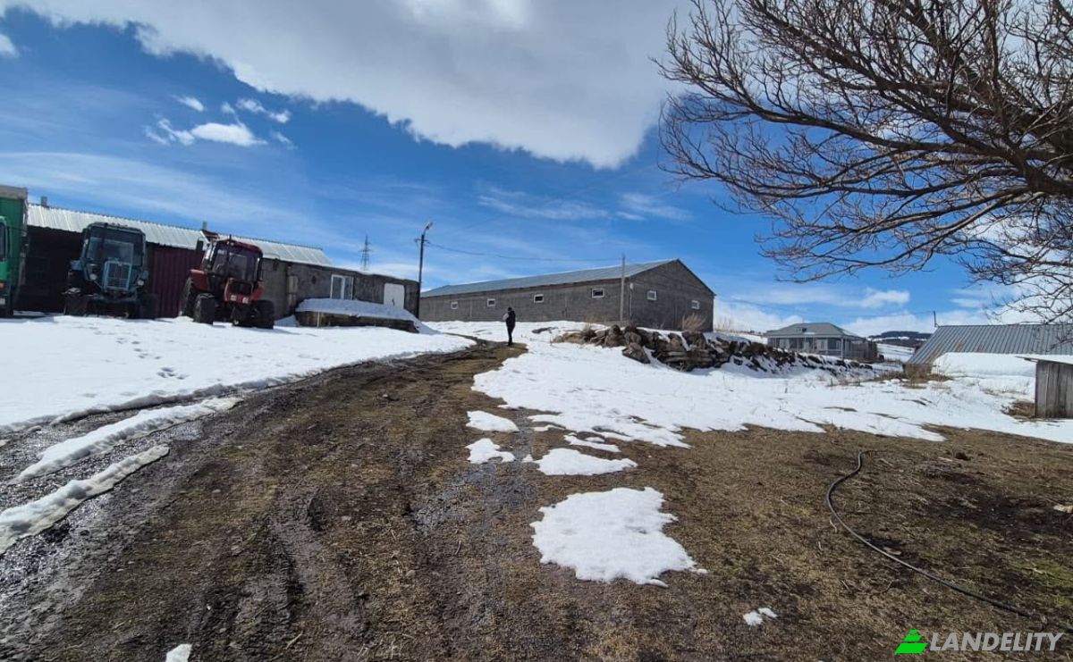 Inwestycje/Rozwój na sprzedaż Sakdrioni, Tsalka Municipality, Kvemo Kartli, Georgia. Zdjęcie 1