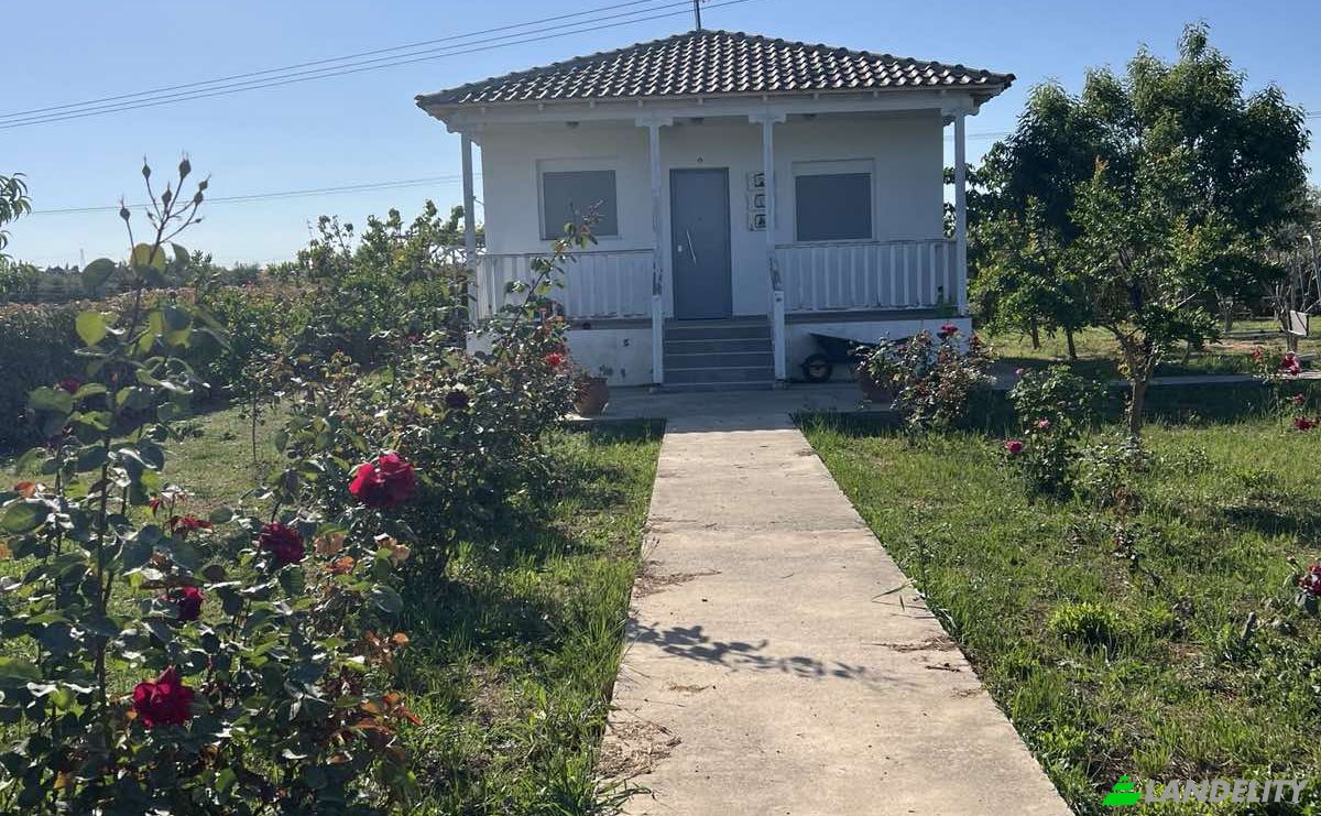 Land Lot for Sale Odos Hvris Onomasia, Nea Propontida 632 00, Nea Moudania, Central Macedonia, Decentralized Administration of Macedonia and Thrace, Greece. Photo 3