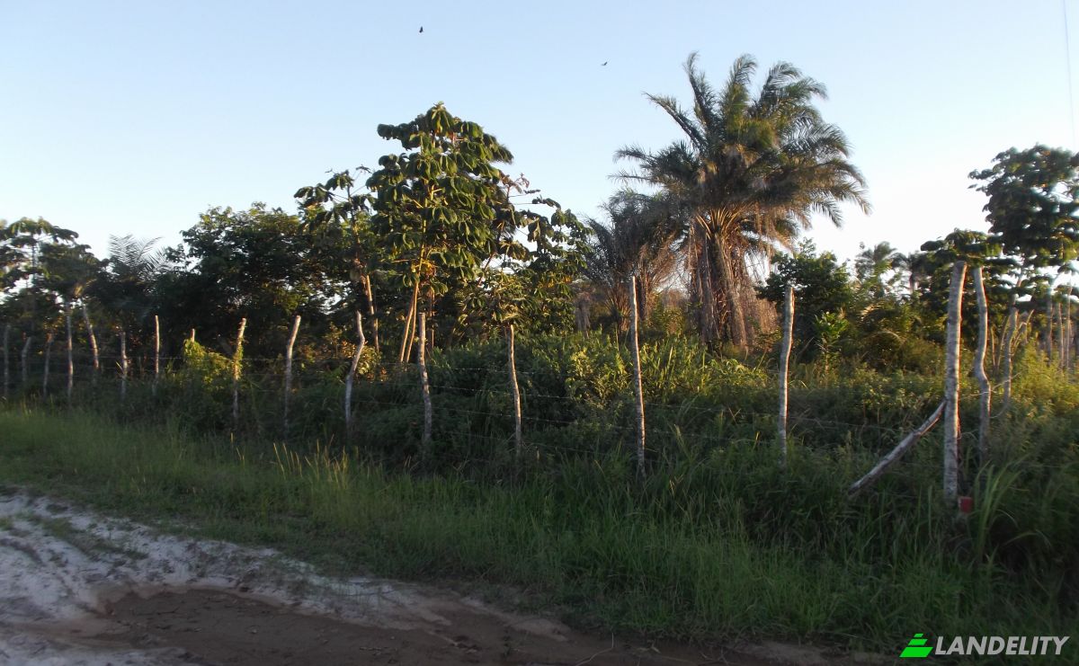 Lote de terreno à venda Estrada Sem Nome, Salinas da Margarida - BA, Salinas da Margarida, Bahia, Brasil, 44450-000. foto 2