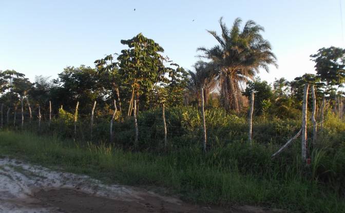 Lote de terreno à venda Estrada Sem Nome. foto#2