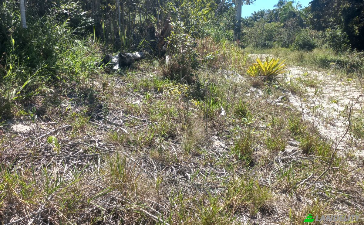 Lote de terreno à venda Estrada Sem Nome, Salinas da Margarida - BA, Salinas da Margarida, Bahia, Brasil, 44450-000. foto 5