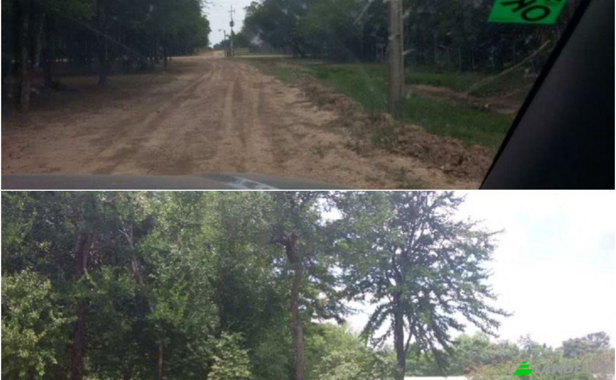 Investing/Development for Sale 170102 Zona Tte Martinez, Zona Tte Martinez, Fuerte Olimpo, Alto Paraguay Department, Paraguay. Photo 3