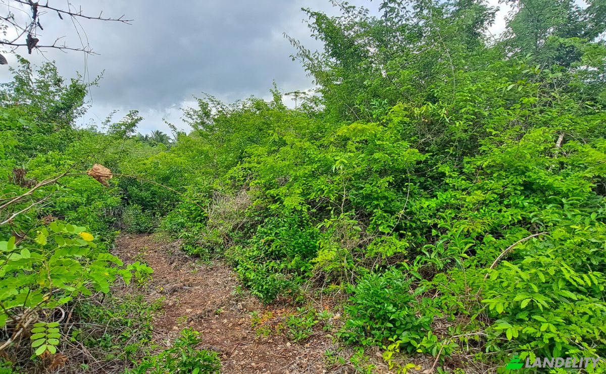 Investing/Development for Sale Fukuchani, Mpandeni, Kaskazini A, Unguja North Region, Tanzania. Photo 20