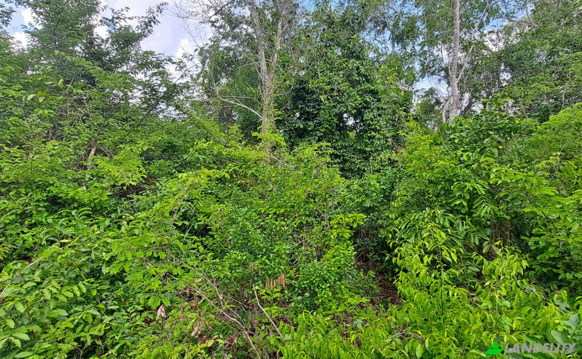 Investing/Development for Sale Fukuchani, Mpandeni, Kaskazini A, Unguja North Region, Tanzania. Photo 22