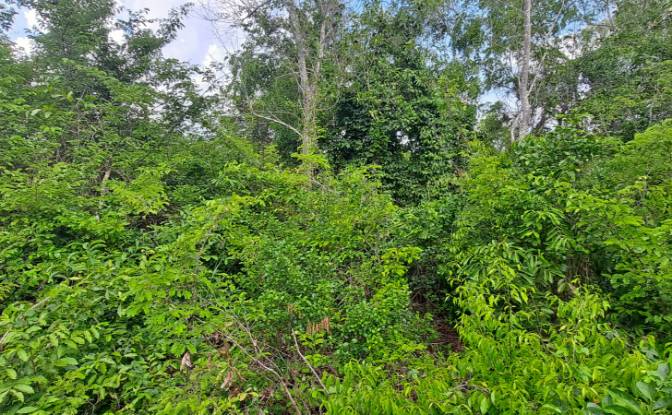 Investing/Development for Sale Fukuchani, Mpandeni. Photo#22 Investing/Development for Sale Fukuchani, Mpandeni. Photo#22
