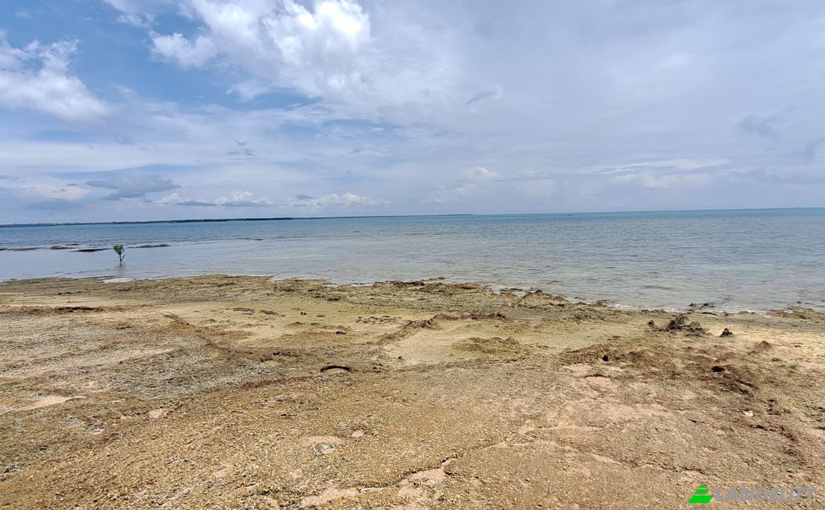 Investing/Development for Sale Fukuchani, Mpandeni, Kaskazini A, Unguja North Region, Tanzania. Photo 3