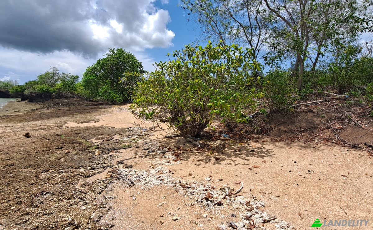 Investing/Development for Sale Fukuchani, Mpandeni, Kaskazini A, Unguja North Region, Tanzania. Photo 5