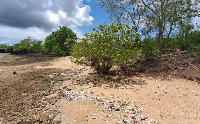 Investing/Development for Sale Fukuchani, Mpandeni. Photo#5 Investing/Development for Sale Fukuchani, Mpandeni. Photo#5