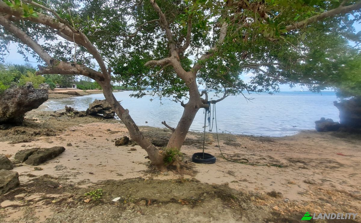 Investing/Development for Sale Fukuchani, Mpandeni, Kaskazini A, Unguja North Region, Tanzania. Photo 12