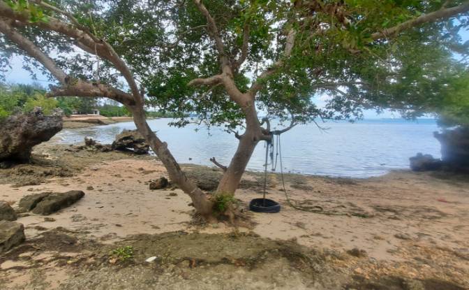 Investing/Development for Sale Fukuchani, Mpandeni. Photo#12 Investing/Development for Sale Fukuchani, Mpandeni. Photo#12