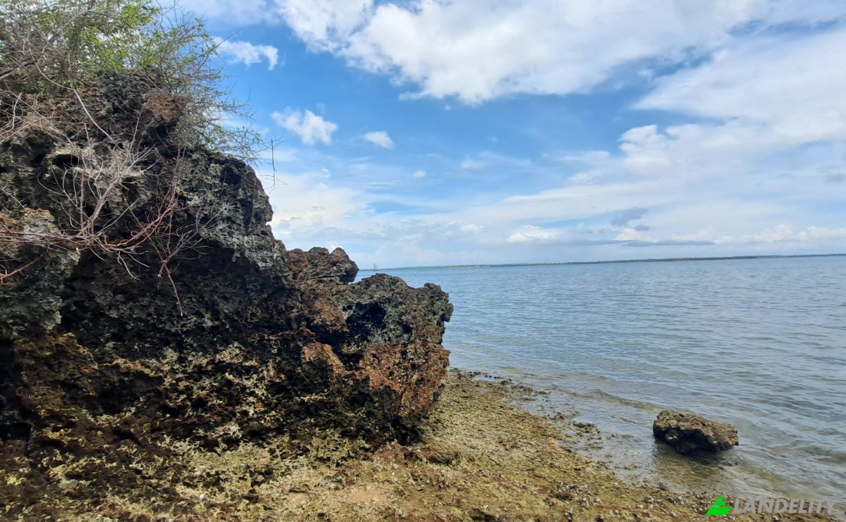 Investing/Development for Sale Fukuchani, Mpandeni, Kaskazini A, Unguja North Region, Tanzania. Photo 8