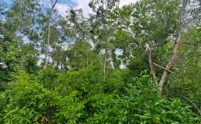 Investing/Development for Sale Fukuchani, Mpandeni. Photo#18 Investing/Development for Sale Fukuchani, Mpandeni. Photo#18