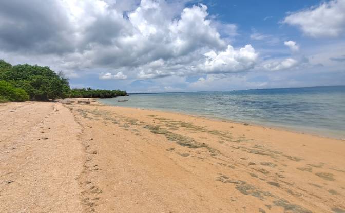 Investing/Development for Sale Nungwi Rd, Potowa. Photo#10