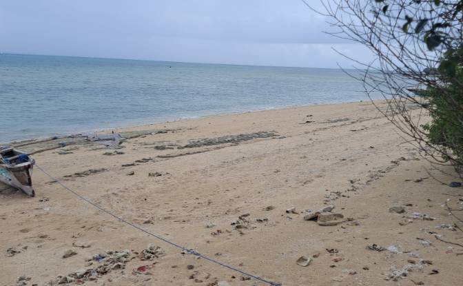 Investing/Development for Sale Nungwi Rd, Potowa. Photo#2