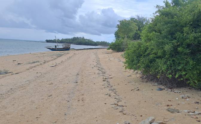 Investing/Development for Sale Nungwi Rd, Potowa. Photo#3