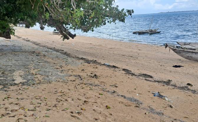 Investing/Development for Sale Nungwi Rd, Potowa. Photo#4