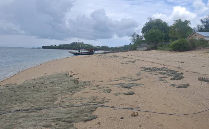 Investing/Development for Sale Nungwi Rd, Potowa. Photo#6