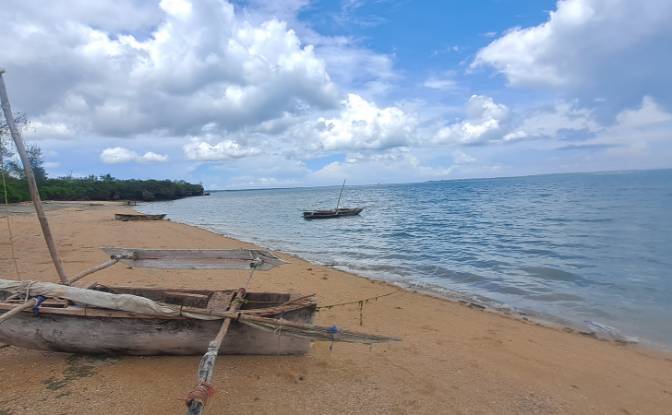 Investing/Development for Sale Nungwi Rd, Potowa. Photo#7