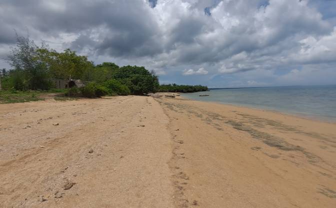 Investing/Development for Sale Nungwi Rd, Potowa. Photo#8