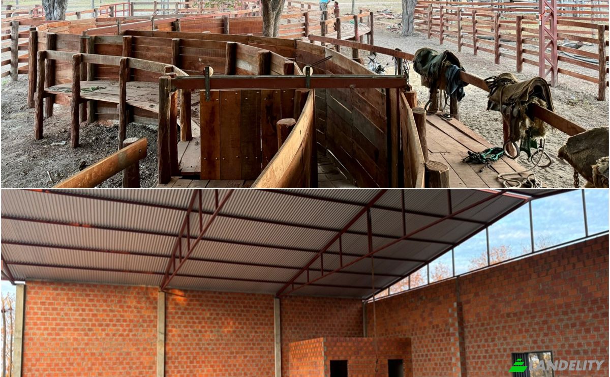 Investing/Development for Sale RUTA Puerto Guarani, Zona Ribera Olimpo, Puerto Casado, Alto Paraguay Department, Paraguay. Photo 10