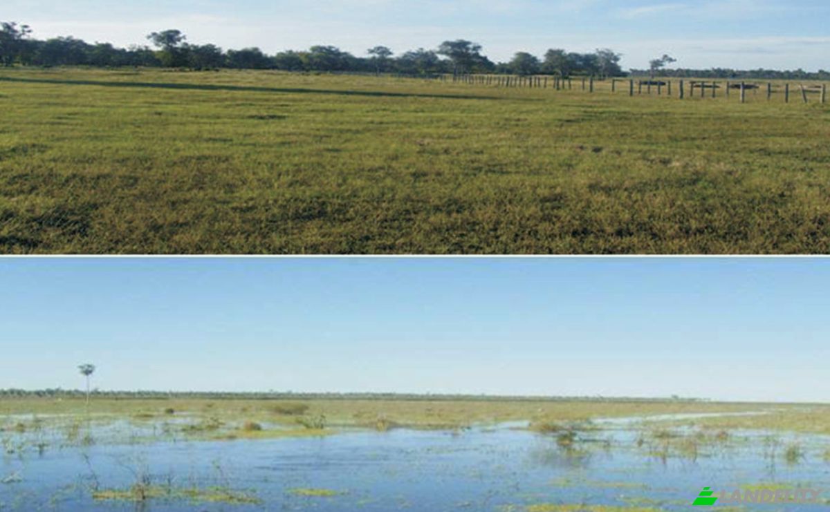 Investing/Development for Sale Zona Monte Lindo, 150203 Villa Hayes, Zona Rio Negro, Benjamin Aceval, Presidente Hayes Department, Paraguay. Photo 3