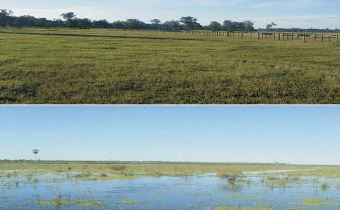 Investing/Development for Sale Zona Monte Lindo. Photo#3