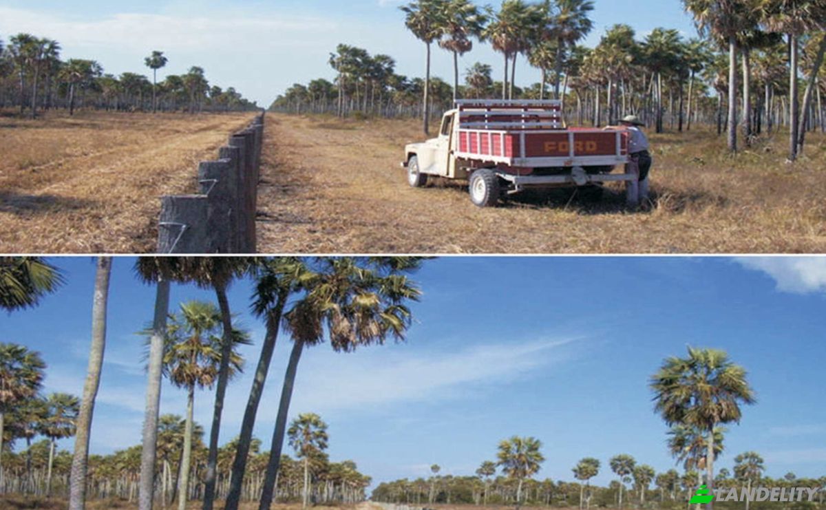 Investing/Development for Sale Zona Monte Lindo, 150203 Villa Hayes, Zona Rio Negro, Benjamin Aceval, Presidente Hayes Department, Paraguay. Photo 4
