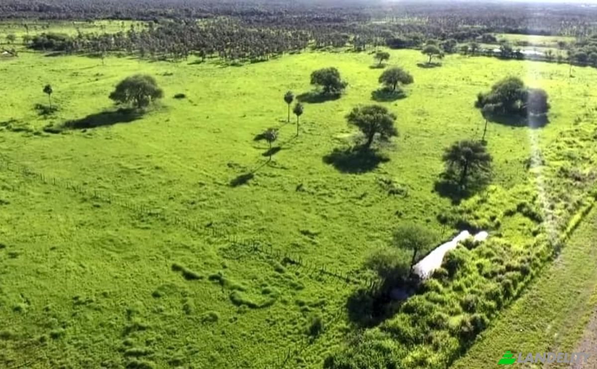 Investing/Development for Sale PY16, Zona 4 Vientos, Mariscal Jose Felix Estigarribia, Boqueron department, Paraguay. Photo 8