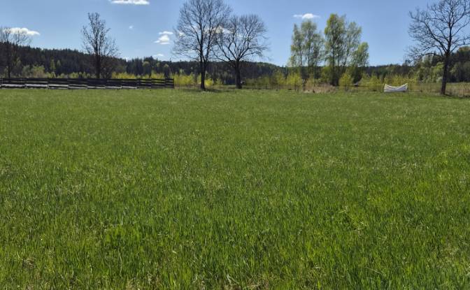 Land Lot for Sale Wolany 63C, 57-300, Wolany. Photo#3 Land Lot for Sale Wolany 63C, 57-300, Wolany. Photo#3