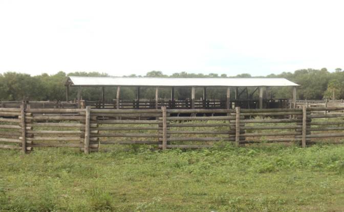 Investing/Development for Sale 170104 Zona Toro. Photo#12