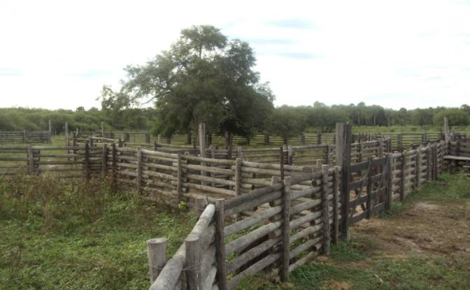 Investing/Development for Sale 170104 Zona Toro. Photo#13