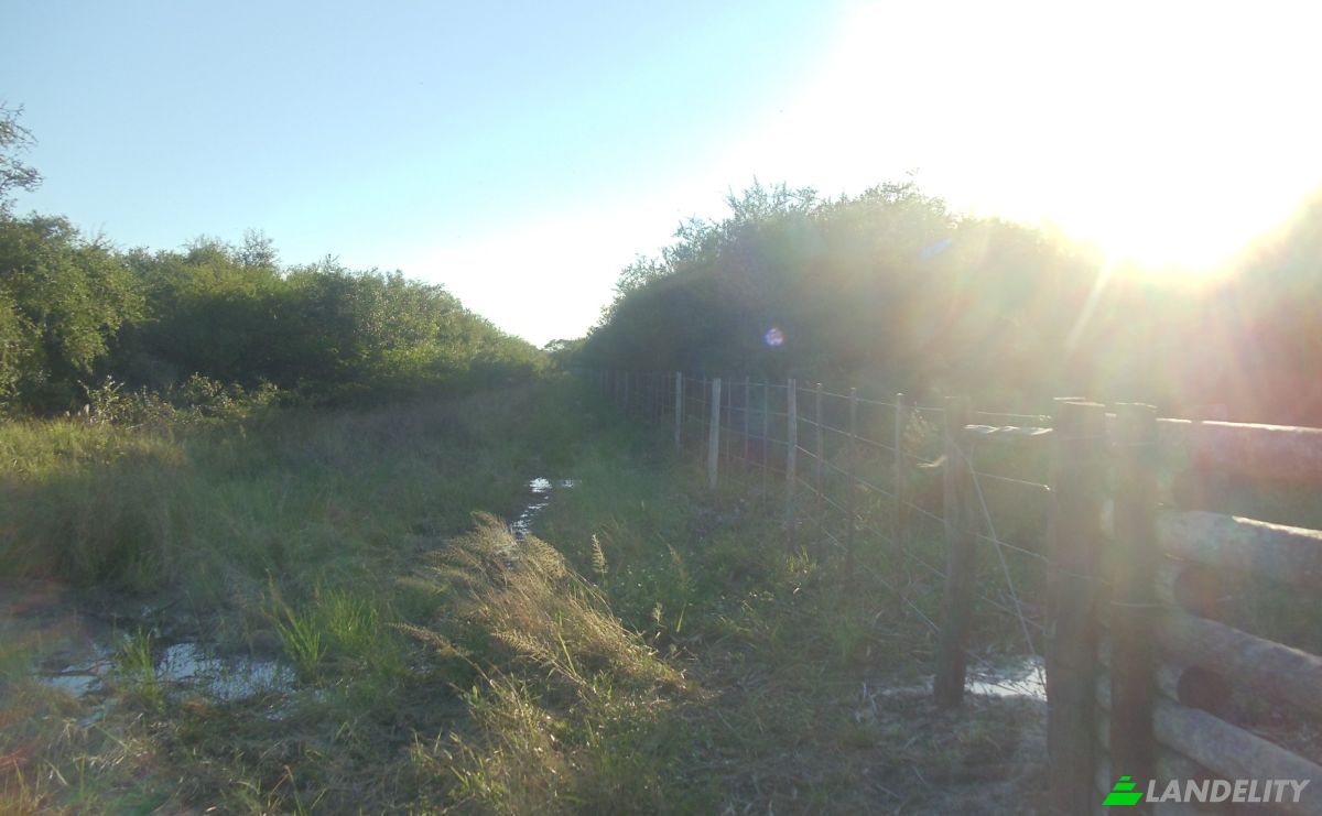 Investing/Development for Sale 170104 Zona Toro Pampa Oeste, Zona Toro Pampa Oeste, Fuerte Olimpo, Alto Paraguay Department, Paraguay. Photo 14