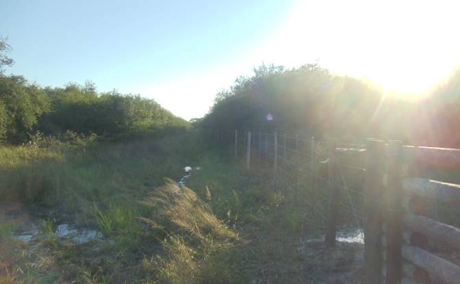 Investing/Development for Sale 170104 Zona Toro. Photo#14