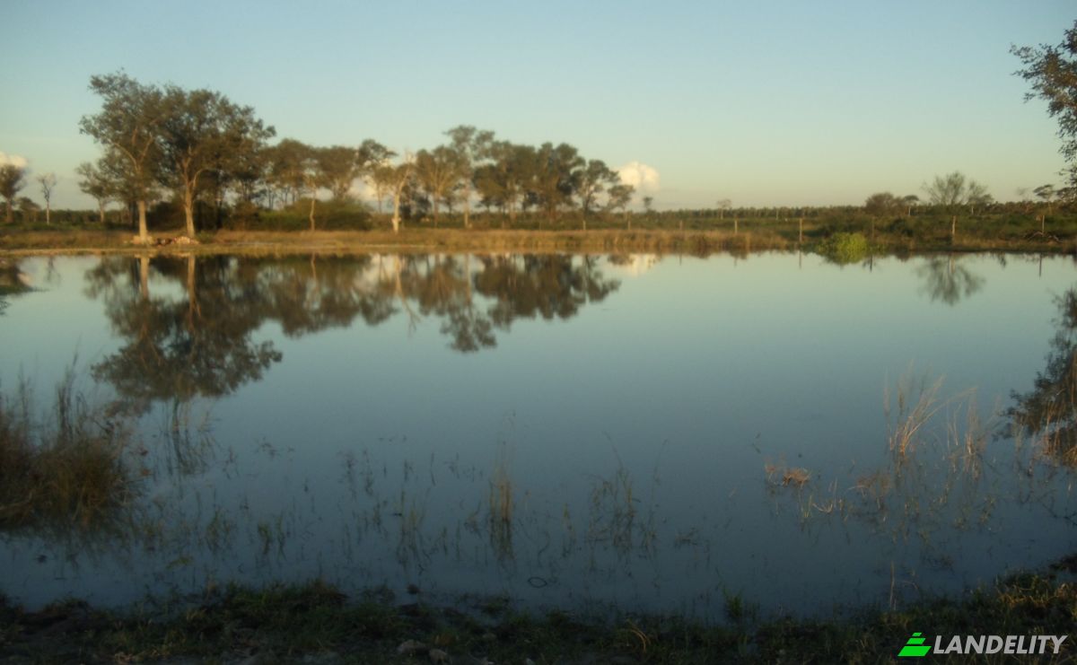 Investing/Development for Sale 170104 Zona Toro Pampa Oeste, Zona Toro Pampa Oeste, Fuerte Olimpo, Alto Paraguay Department, Paraguay. Photo 16