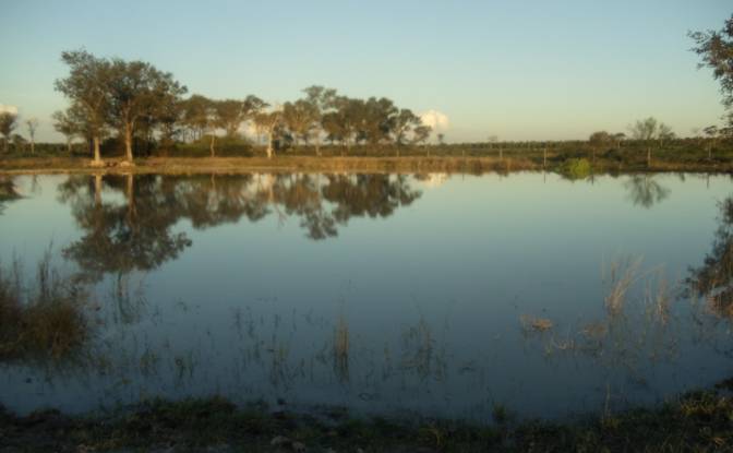 Investing/Development for Sale 170104 Zona Toro. Photo#16