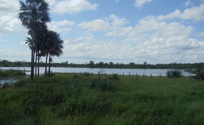 Investing/Development for Sale 170104 Zona Toro. Photo#17