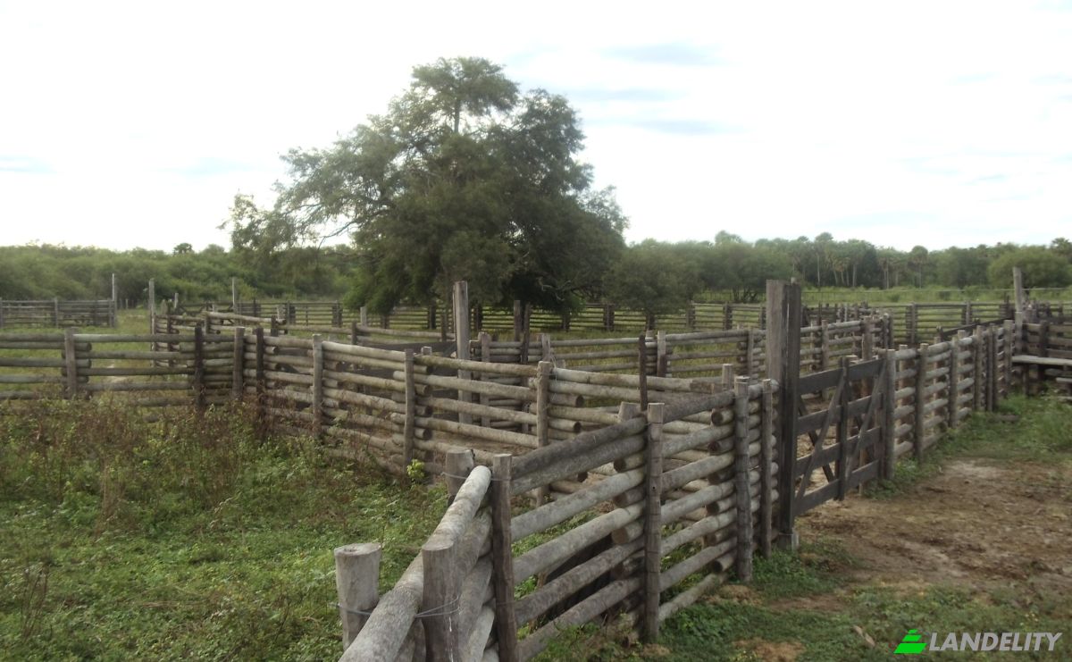 Investing/Development for Sale 170104 Zona Toro Pampa Oeste, Zona Toro Pampa Oeste, Fuerte Olimpo, Alto Paraguay Department, Paraguay. Photo 2