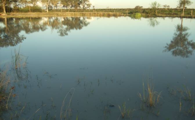 Investing/Development for Sale 170104 Zona Toro. Photo#21