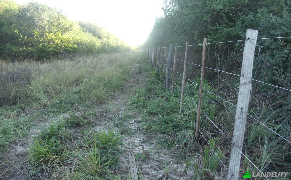 Investing/Development for Sale 170104 Zona Toro Pampa Oeste, Zona Toro Pampa Oeste, Fuerte Olimpo, Alto Paraguay Department, Paraguay. Photo 3