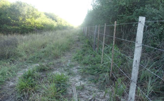 Investing/Development for Sale 170104 Zona Toro. Photo#3