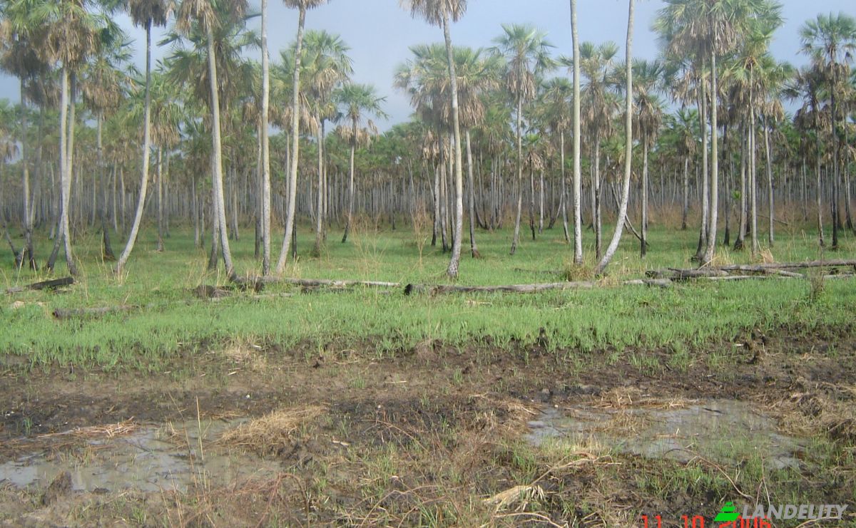 Investing/Development for Sale 170104 Zona Toro Pampa Oeste, Zona Toro Pampa Oeste, Fuerte Olimpo, Alto Paraguay Department, Paraguay. Photo 5