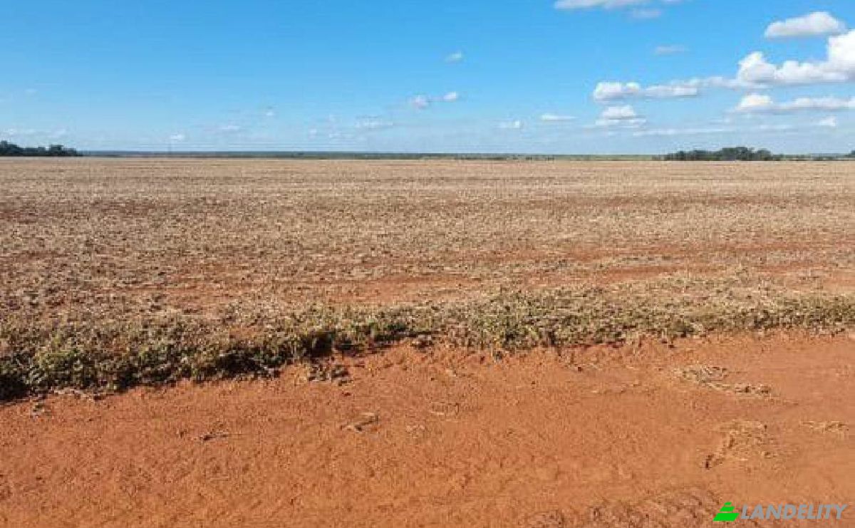 Investing/Development for Sale Via Sin Nombre, 051111, Potrero Alvarez, Yhu, Caaguazu Department, Paraguay. Photo 7