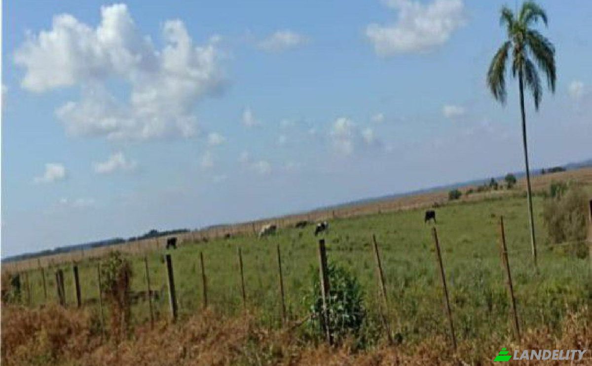 Investing/Development for Sale Via Sin Nombre, 051111, Potrero Alvarez, Yhu, Caaguazu Department, Paraguay. Photo 8
