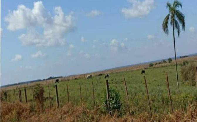 Investing/Development for Sale Via Sin Nombre. Photo#8 Investing/Development for Sale Via Sin Nombre. Photo#8