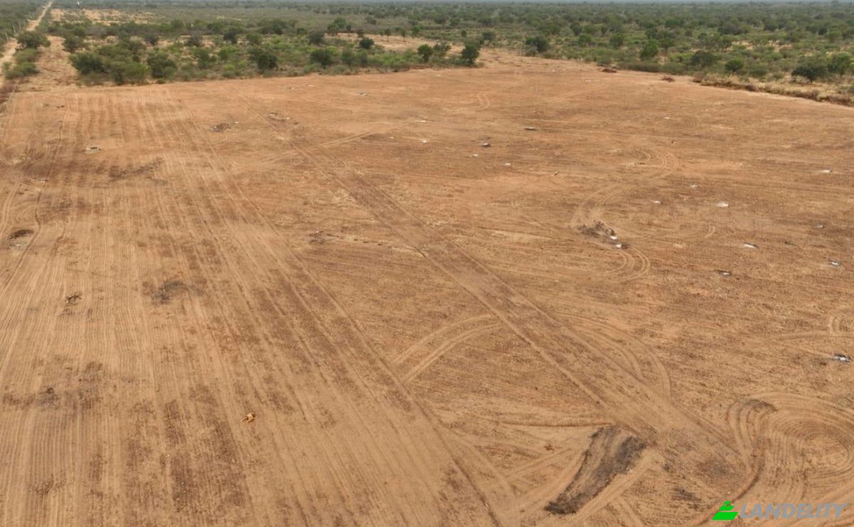 Investing/Development for Sale 160203 Zona Gral Garay, Zona General Garay, Mariscal Jose Felix Estigarribia, Boqueron department, Paraguay. Photo 15